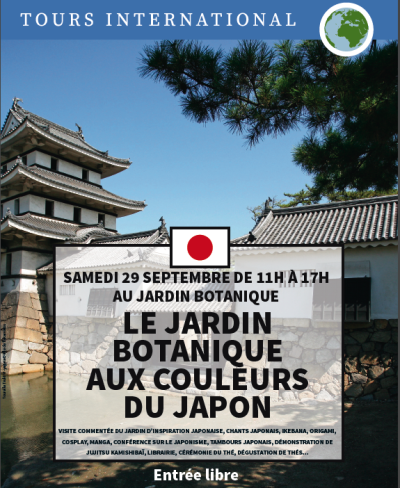 Image / illustration